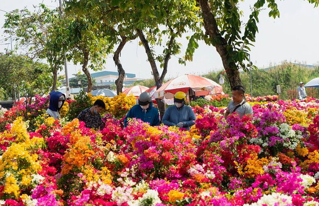 Ho Chi Minh City Afternoon Adventure - Photo 15