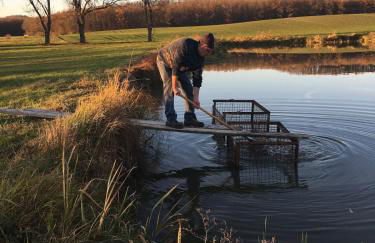 Kleines Glück - Foto 23