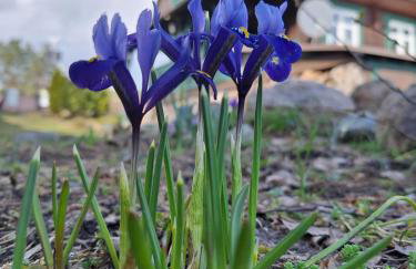 Przystanek Soszyca - Foto 21