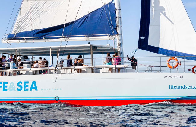 Palma Bay Catamaran Trip with a BBQ - Foto 1