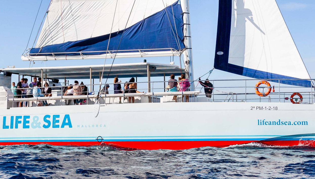 Balade en catamaran dans la baie de Palma avec barbecue