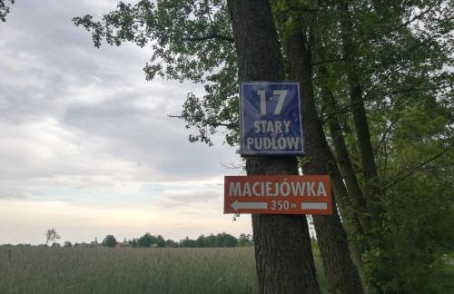 Maciejówka Gospodarstwo Agroturystyczne - Foto 41