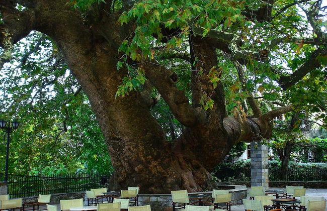 Kanari s House Pelion - Foto 37