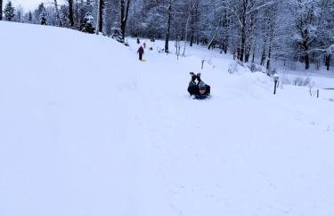 Bieszczadzkie Dworki - Foto 77