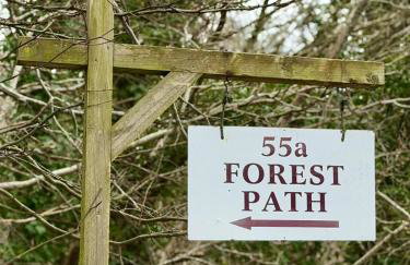 Forest Path luxury Studio Apartment with large bedroom bathroom and sauna Sleeps up to 4 - Photo 19