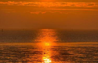 Haus Viking mit 2 Ferienwohnungen Bjorn 4 Pers und Floki 6 Pers mit Düne und Garten - Foto 40