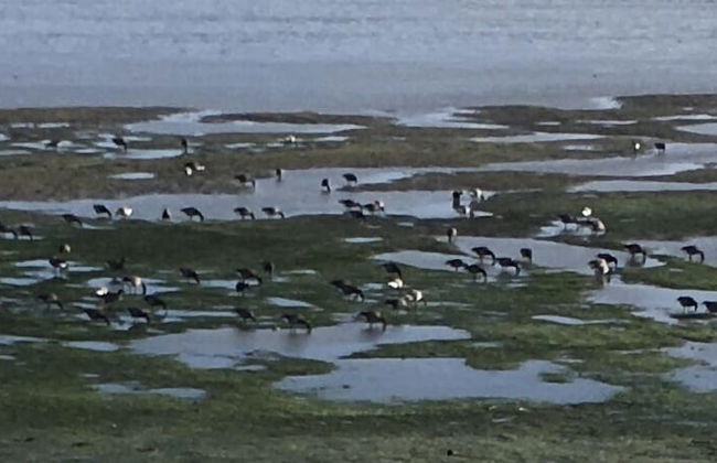 Entire 1bed Studio With Ensuite, Balcony & Parking - Foto 33