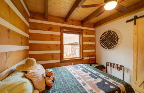 Hike, Ski and More Blue Ridge Mountain Escape - Photo 14