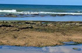 Paraíso á beira mar - Foto 8