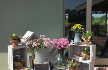 Agriturismo Bassanine - Foto 17