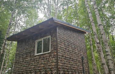 Ma-Su Thunder Cabin #1 - Photo 6