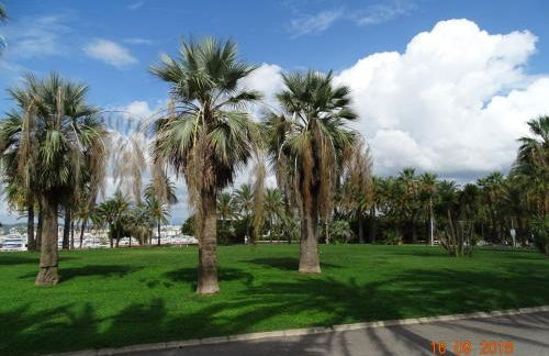 Palm beach Cannes Azur - Foto 34