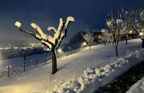 L'Armonia della natura, paluvacanze - Foto 45