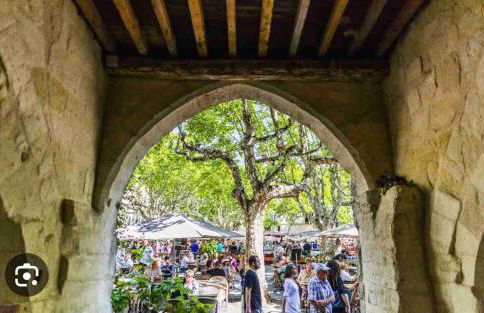 mas du Clap - Photo 8