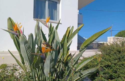 Mini Villa Kalathas - Photo 10