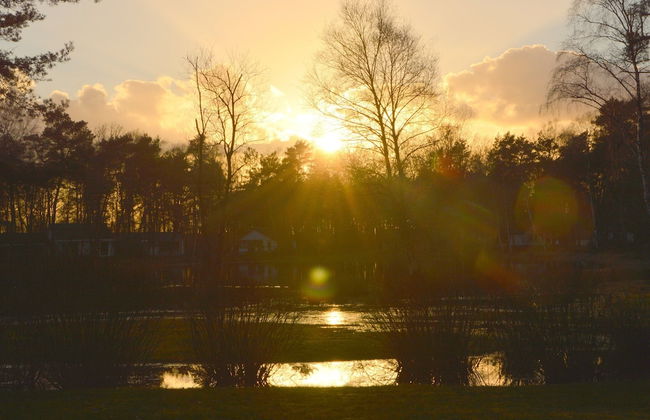 Alluring Holiday Home in Limburg near Forest - Photo 32