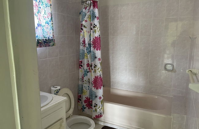 Pirate Palms - Foto 28