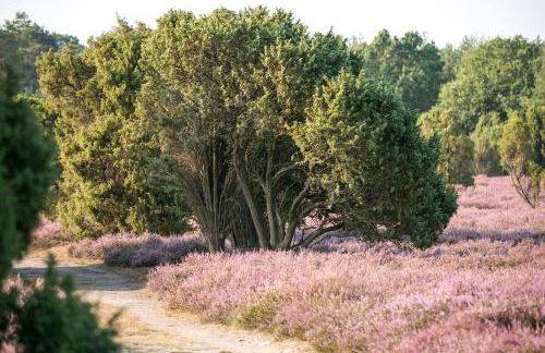 MCDreyer Ferienwohnung - Foto 52