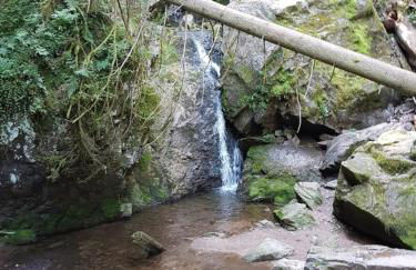 FeWo mit Pool Haus Enere Au - Foto 18