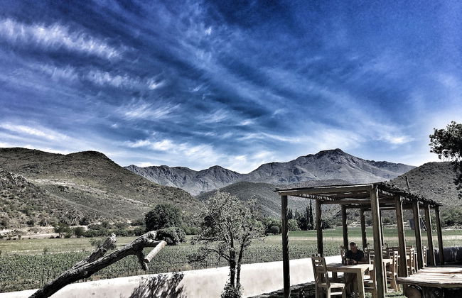 De Kombuys Estate - Foto 69