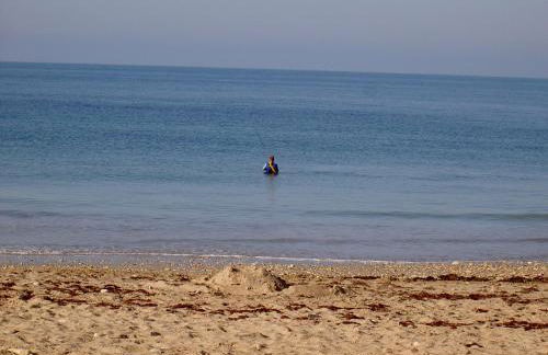 Le Figuier - Foto 42