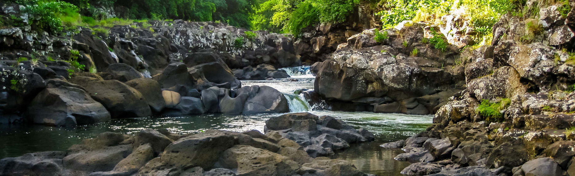 Black River Gorges Hiking Tour