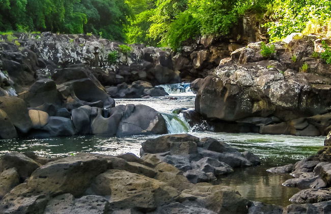 Randonnée dans le Parc National des Gorges de Rivière Noire - Photo 1
