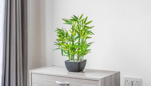 Modern & Cosy Apartment Luxury 1-Bed Sleeps 5 - Foto 5