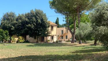 Adamasseria - Foto 3