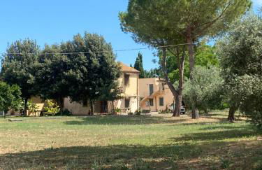 Adamasseria - Foto 3