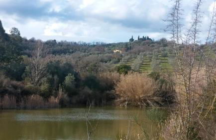 Marrucheto - Foto 15