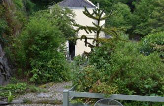 Cosy Cottage overlooking the Teifi Gorge - Foto 32