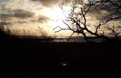 Achterwasser Blick - Foto 29