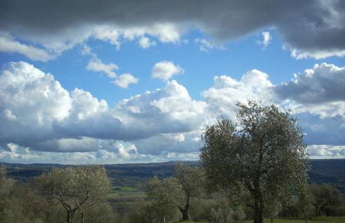 Agriturismo Le Roghete - Foto 8