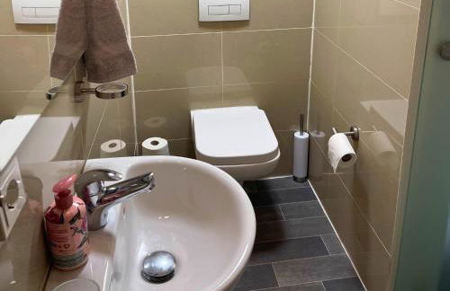 Apartment in Trier with parking - Foto 12