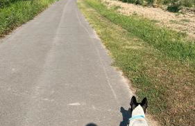 Casa sul fiume - Foto 40