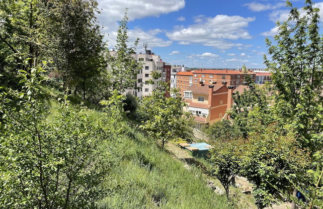 Apartamentos Aljama - Foto 22