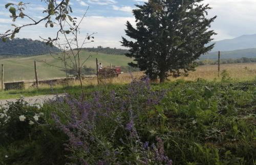 Podere Stabbiatelli - Foto 7