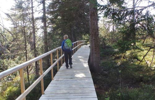 Apartment Fewo Kranichsee WGH by Interhome - Foto 13