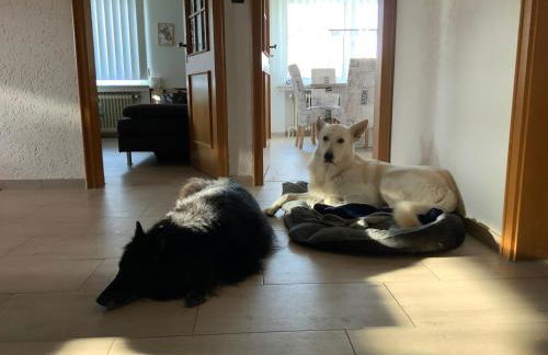 Ostfreesenhuus Vier Pfoten - Foto 16