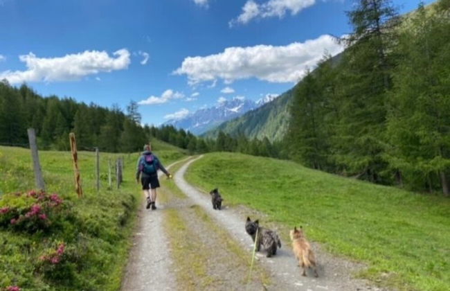 Chalet in Grosskirchheim in Carinthia With Sauna - Foto 75