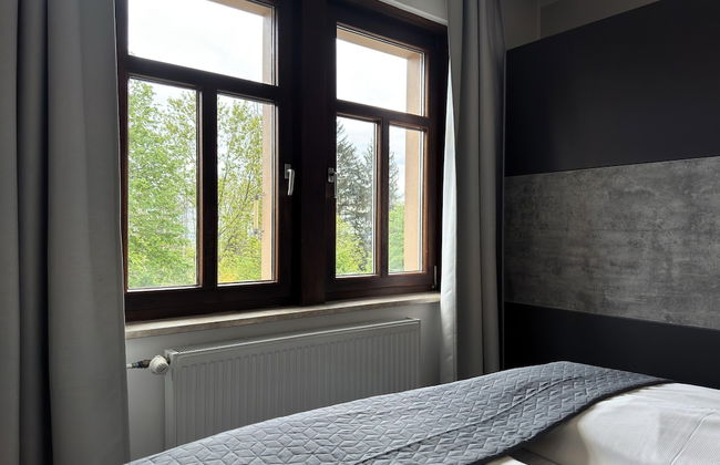 Apartment in Harz Near Brocken Railway - Foto 2