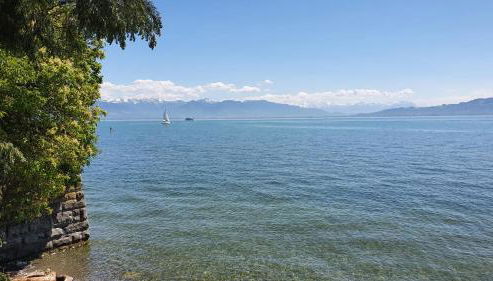 HAUS WALD und SEE - WASSERBURG - Foto 3