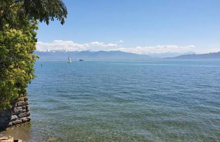 HAUS WALD und SEE - WASSERBURG - Foto 3