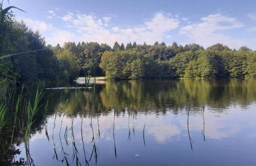 Forsthaus Gödens - Photo 15