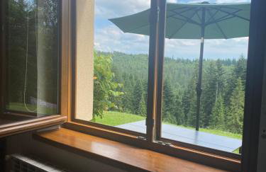 Apartament w górach Gorce - Foto 19