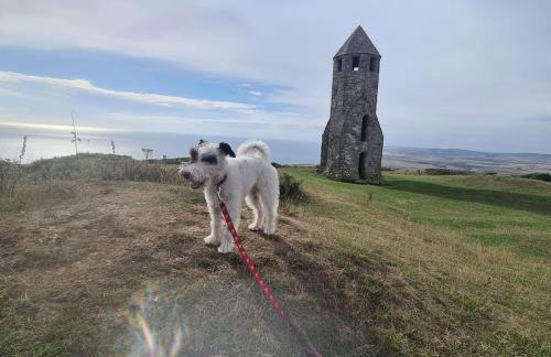 The Pepper pot - Photo 22