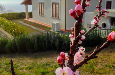 TRE BORGHI - Foto 43