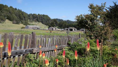 Sea Forever - Foto 3