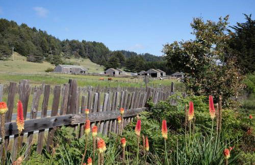 Sea Forever - Foto 3